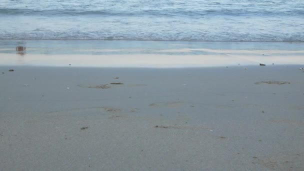 Dicht Bij Zee Golf Hit Tropische Witte Zand Fijnste Strand — Stockvideo