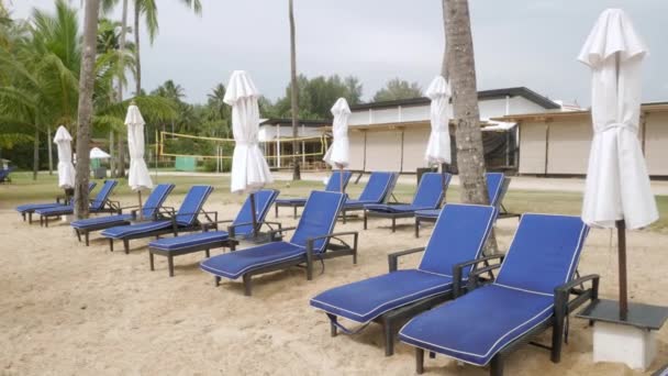 Luxury Beach Lounge Beds Umbrella White Sand Beach Coconut Tree — Stockvideo