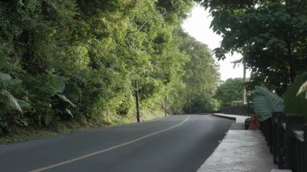 Asphalt Road Nature Rain Forest Jungle Mountain Sunshine Early Morning — Vídeo de Stock