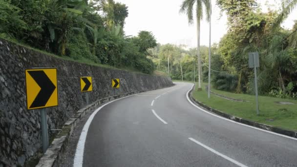 Natural View Local Road Outdoor Tropical Rain Tree Forest Kuala — Vídeo de Stock