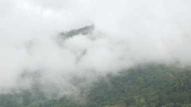 Dağlık tepenin manzarası yeşil yağmur ormanı ve sis bulutu rüzgarı Tayland 'ın kuzeyindeki kış günlerinde dağ sırasının üzerinden akıyor.