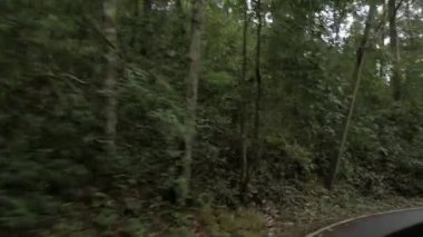 Kırsal yol manzarası yağmur ormanlarını aşıyor Tayland 'ın kuzey bölgesindeki dağda hareket halindeki aracın ön kamera görüntüsü, doğal ulaşım arka planı.