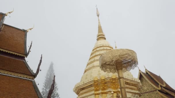 Kilátás Suthep Templom Híres Hatalmas Arany Pagoda Ködfelhő Között Természeti — Stock videók