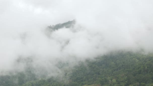 Vista Serra Colina Com Vegetação Floresta Tropical Neblina Nuvem Fluxo — Vídeo de Stock