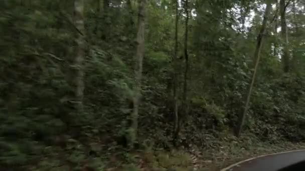 Blick Auf Die Landstraße Durch Den Regenwald Auf Den Berg — Stockvideo