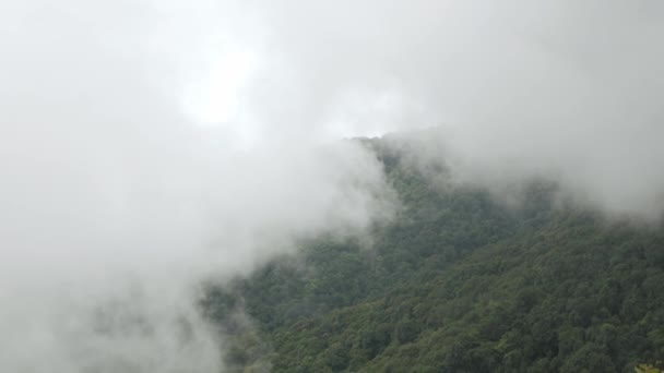 Vista Colina Cordillera Con Vegetación Selva Tropical Niebla Nubosa Flujo — Vídeos de Stock