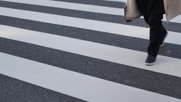 Low Angle View Asphalt Street Zebra Crossing Area Intersection While — Stock video