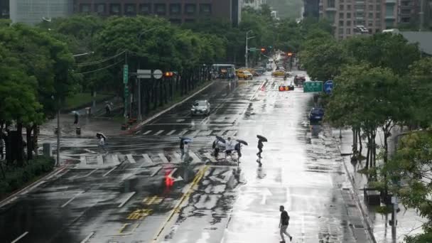 July26 2023 Taipei Taiwan Landscape Street View Intersection Pedestrian Crossing — Stok video