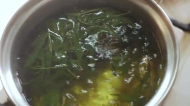 Kenevir marihuana kenevir yaprakları demlikte kaynarken çay yapmak için. Sağlıklı yerel çay içeceği.