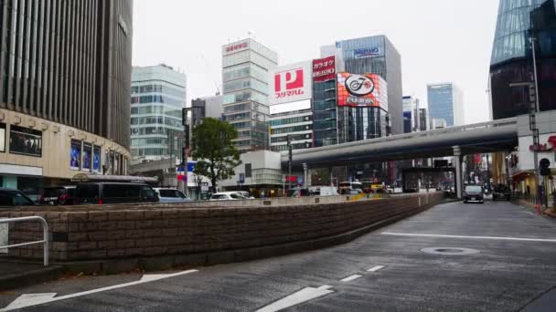 Decemer29 2023 Tokyo Japan Street Landscape View Central Shopping Area — Stock video
