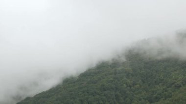 Dağlık tepenin manzarası yeşil yağmur ormanı ve sis bulutu rüzgarı Tayland 'ın kuzeyindeki kış günlerinde dağ sırasının üzerinden akıyor.