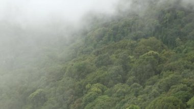 Dağlık tepenin manzarası yeşil yağmur ormanı ve sis bulutu rüzgarı Tayland 'ın kuzeyindeki kış günlerinde dağ sırasının üzerinden akıyor.