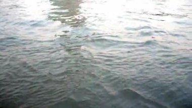 Doku, eğer nehir yüzeyinde parlak güneşli bir ışık dalgası ile sabah dalgaları yüzeyde parlarsa tropikal bir nehirde sıcak renkli bir yansımayla kıyıya vurur..