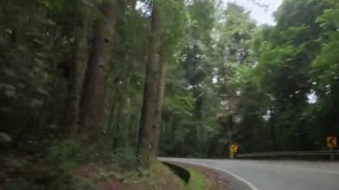 Kırsal yol manzarası yağmur ormanlarını aşıyor Tayland 'ın kuzey bölgesindeki dağda hareket halindeki aracın ön kamera görüntüsü, doğal ulaşım arka planı.