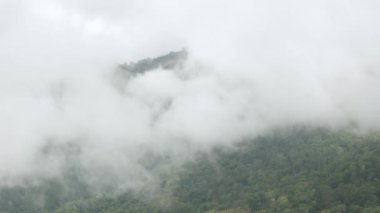 Dağlık tepenin manzarası yeşil yağmur ormanı ve sis bulutu rüzgarı Tayland 'ın kuzeyindeki kış günlerinde dağ sırasının üzerinden akıyor.