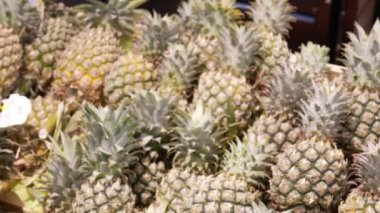 Seçilen kişi süpermarket hipermarketinden taze ananas seçerken müşterinin eline seçici odaklanma, tropikal meyve seçimi yerel alışveriş arka planı