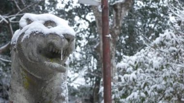 Japonya 'nın Kyoto kırsalındaki tapınağın önündeki kaplan heykeli heykeli. Kış mevsiminde heykele buz gibi kar yağarken Japon mimarisi kışın kar yağdığında dizayn ediliyor.