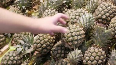 Seçilen kişi süpermarket hipermarketinden taze ananas seçerken müşterinin eline seçici odaklanma, tropikal meyve seçimi yerel alışveriş arka planı