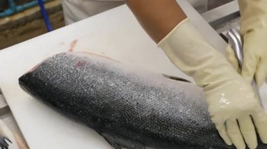 Deniz mahsulleri iş yerini tepeden aşağı gezerken kesme tahtasındaki taze büyük somonları keserken şefin eli et filetosu olarak çiğ somon balığı keserken balık pişirirken.