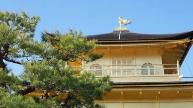 Ocak 28,2024 Kyoto, Japonya. Kinkakuji Altın Köşkü Tapınağı 'na bakan Kyoto' nun ünlü tapınak turistik beldesi.
