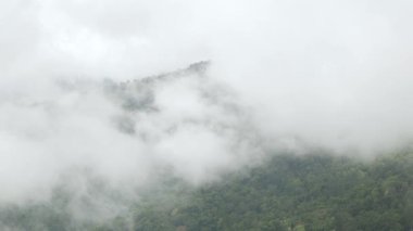 Dağlık tepenin manzarası yeşil yağmur ormanı ve sis bulutu rüzgarı Tayland 'ın kuzeyindeki kış günlerinde dağ sırasının üzerinden akıyor.