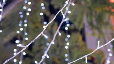 Ağacın ışık dekorasyonuna yakın bir yerde Noel şenliği için seçici bir odak noktası var.