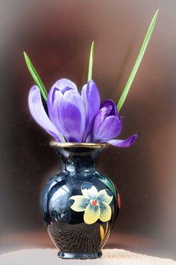 parlak vazolar üzerinde beyaz izole renkli bahar çiçekleri.