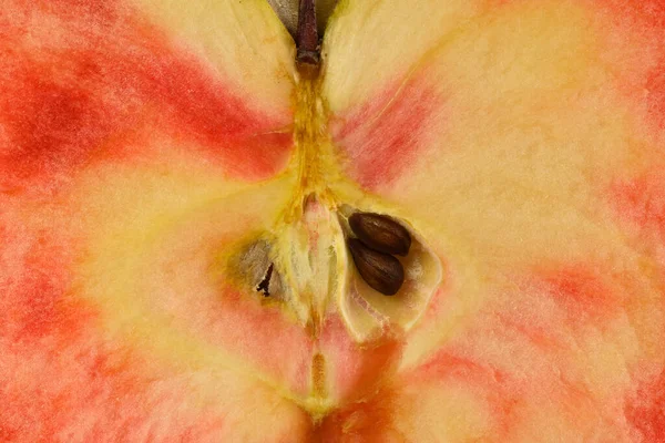Κοντινό Πλάνο Του Τύπου Μήλου Κόκκινο Λευκό Κίτρινο Και Ροζ — Φωτογραφία Αρχείου