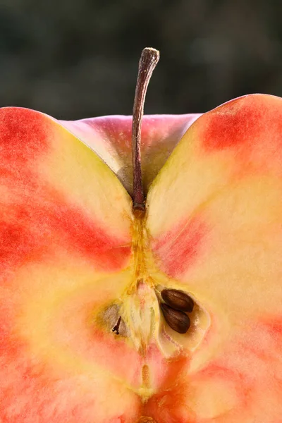 ピンクのパルプを内部に入れたリンゴタイプの閉鎖 — ストック写真