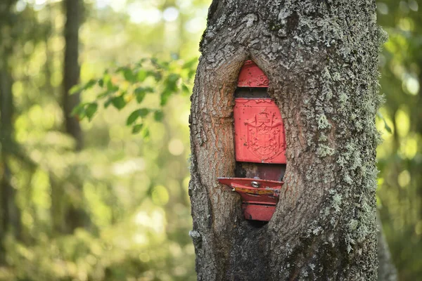 Oak Tree Trunk Grown Classic Old Style Red Mailbox — Stock Photo, Image