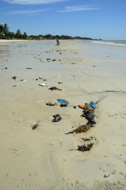 Tanzanya 'daki mercan plajında çöp ve plastik çöp.