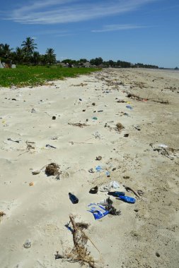 Tanzanya 'daki mercan plajında çöp ve plastik çöp.