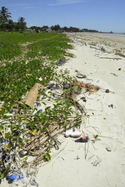 Tanzanya 'daki mercan plajında çöp ve plastik çöp.