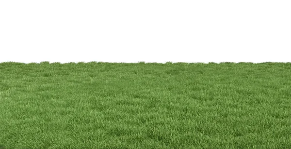 Зеленое Травяное Поле Выделено Белом Фоне Лицензионные Стоковые Фото