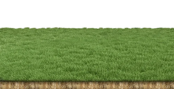 Groen Grasveld Geïsoleerd Witte Achtergrond Stockfoto