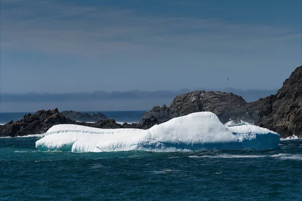 カナダのニューファンドランド ラブラドール州トウィリンゲートの漁村の海岸近くの壮大な氷山 — ストック写真
