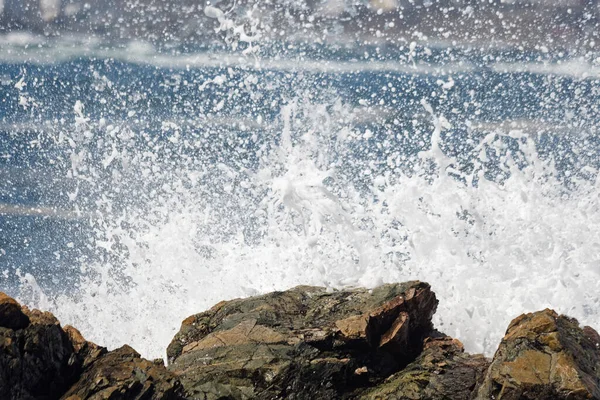 Bølger Styrter Ned Den Robuste Newfoundland Labrador Kystlinje Viser Skønhed - Stock-foto