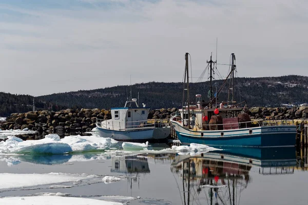 Whiteway Newfoundland Labrador Canada April 2023 Fishing Boats Moored Dock — Stock Photo, Image