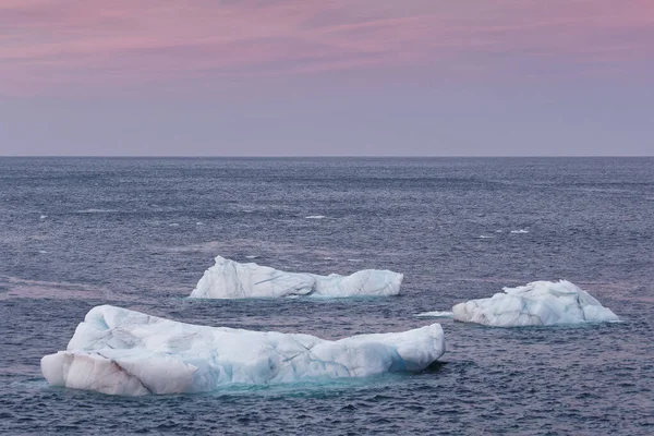 一个美丽的海岸冰山随着海浪移动 这些冰山常见于纽芬兰省和拉布拉多半岛海岸线沿线的春天和初夏 — 图库照片