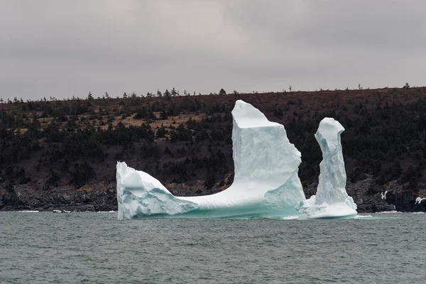 Iceberg Majestoso Perto Costa Vila Piscatória Harbour Grace Terra Nova — Fotografia de Stock