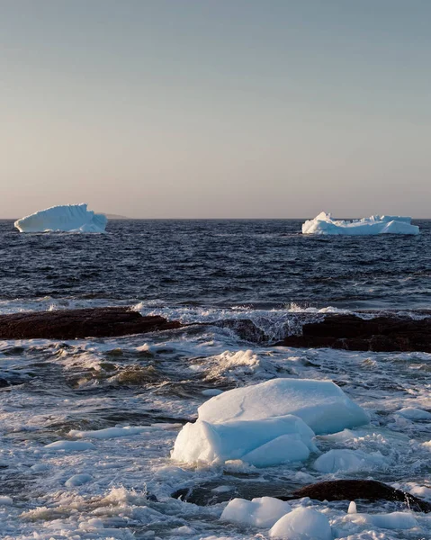 Ledovec Pobřeží Rybářské Vesnici Musgrave Harbour Newfoundland Labrador Kanada — Stock fotografie