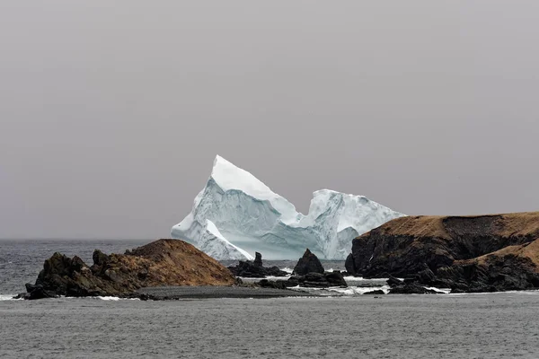 Majestuoso Iceberg Cerca Orilla Pueblo Pesquero Ferryland Terranova Labrador Canadá — Foto de Stock