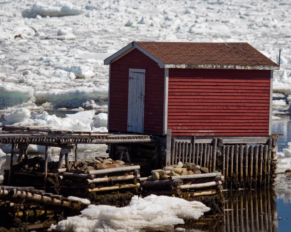 Scènes Pêche Dans Ville Twillingate Entourée Banquise Terre Neuve Labrador — Photo