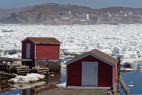 Fishing Stages Town Twillingate Surrounded Pack Ice Newfoundland Labrador Canada — Stock Photo, Image