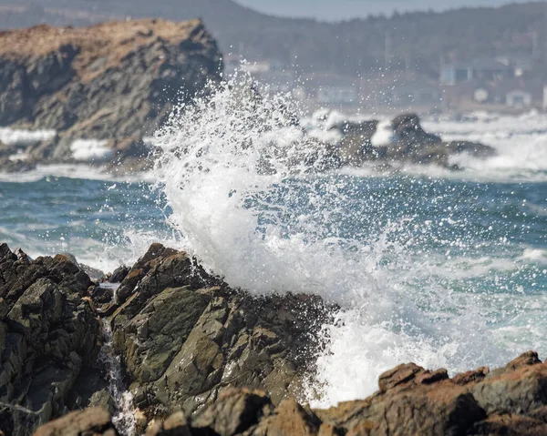 Волны Обрушившиеся Береговую Линию Ньюфаундленда Лабрадора Демонстрирующие Красоту Геологические Особенности — стоковое фото