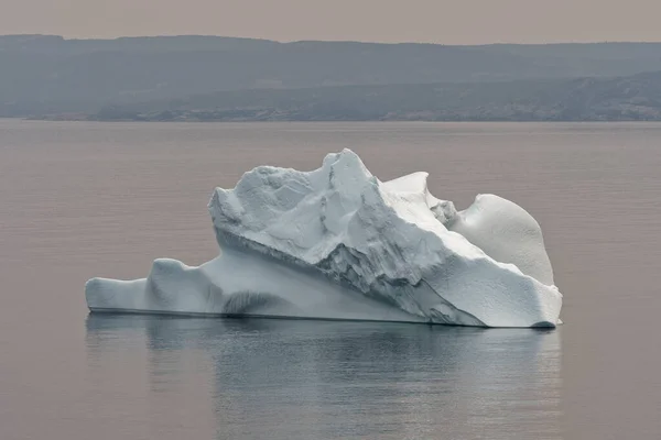 Een Ijsberg Kings Cove Newfoundland Labrador Canada Een Wazige Dag — Stockfoto