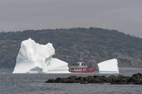 Bateau Excursion Passe Iceberg Par Une Journée Brumeuse Prise Juin — Photo