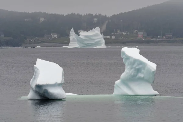 Newfoundland Labrador Kanada Sisli Bir Günde Kıyıya Yakın Bir Buzdağı — Stok fotoğraf