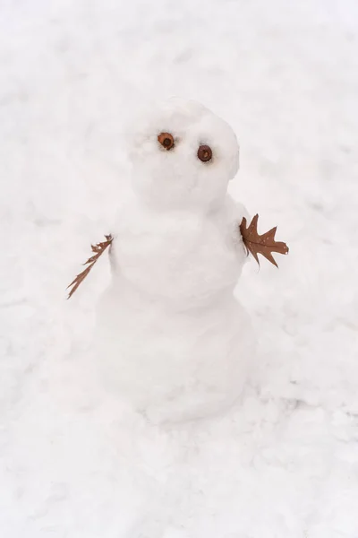 Vicces Hóember Áll Téli Erdőben Függőleges Kilátás Aranyos Hóember Gyönyörű — Stock Fotó