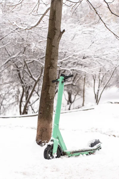 Vertical view of the green rental scooter standing near beautiful tree covered with snow in winter forest. Seasons concept. Stock photo